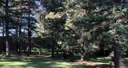 Turn of the Century Getaway in the Upper Penninsula