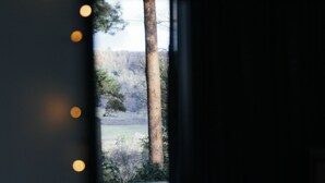 A window view of a forested area with a clear sky. - The Observatory Annexe (Dorking)