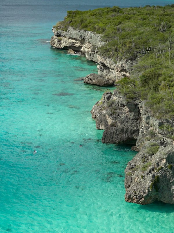 在海滩、水肺潜水、浮潜