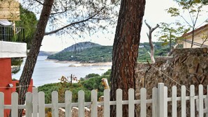 A coastal view with a white picket fence, trees, and a stone wall.