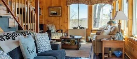 Televisio, takka, kirjoja