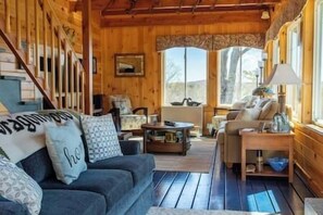 TV, fireplace, books