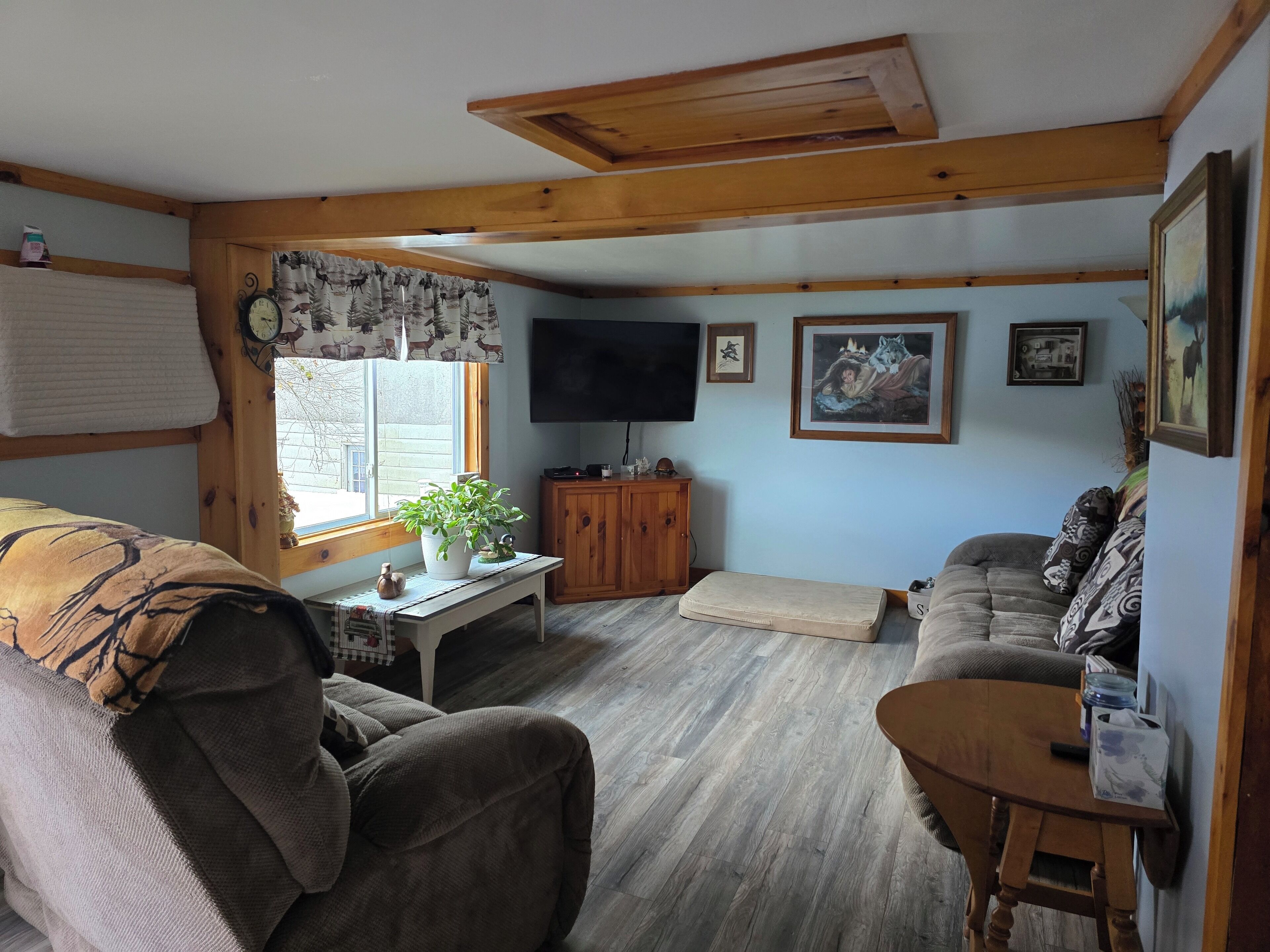 Smart TV, DVD player, books, video library