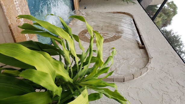 A pool area with a water feature, surrounded by potted plants and a tiled floor.