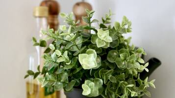 Apartamento | Escrivaninha, Wi-Fi