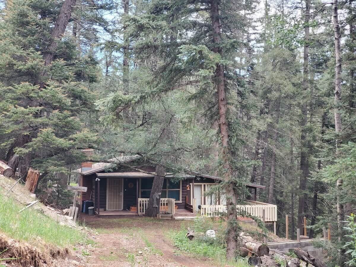 Imagen de perfil del propietario o de la propietaria