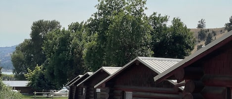 A row of log cabins with gravel paths, surrounded by trees and a clear sky.