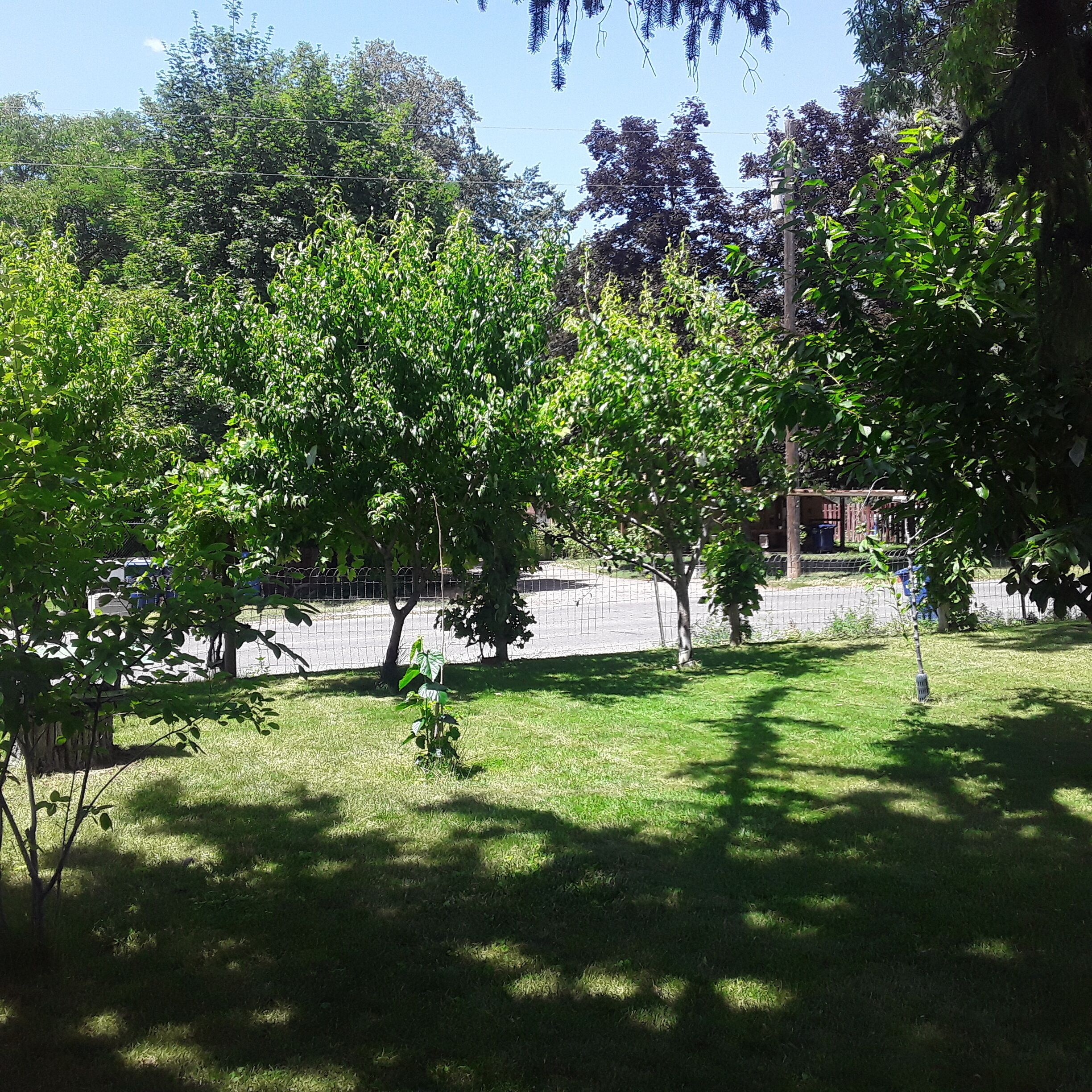 10 Best PetFriendly Rentals In Jerome, Idaho Updated 2024 Trip101