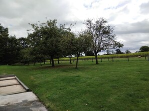 Property grounds - House in the countryside, 15 minutes from the beach. (Pluduno)