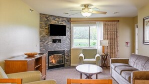 TV, fireplace, video games, DVD player