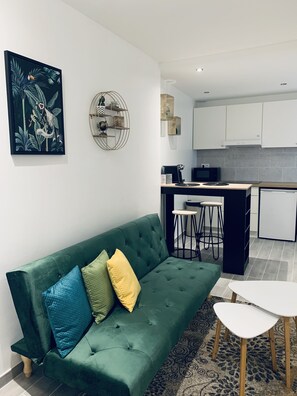 TV - Cosy renovated house in the center of Orléans (Orléans)