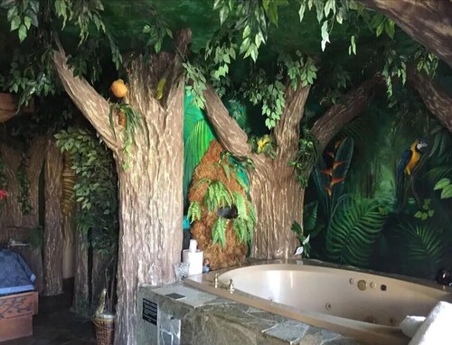 1 King Bed Theme 1 Jetted Tub Non-Smoking(Theme 1 - Jungle, Cave, or 50s Theme)