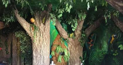 1 King Bed Theme 1 Jetted Tub Non-Smoking(Theme 1 - Jungle, Cave, or 50s Theme)