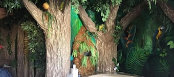 1 King Bed Theme 1 Jetted Tub Non-Smoking(Theme 1 - Jungle, Cave, or 50s Theme)