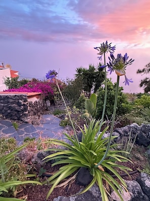 Um jardim com diversas plantas e flores, um caminho de pedra e vista para um edifício com telhado vermelho.