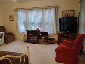 Smart-TV, DVD-spiller og bøker