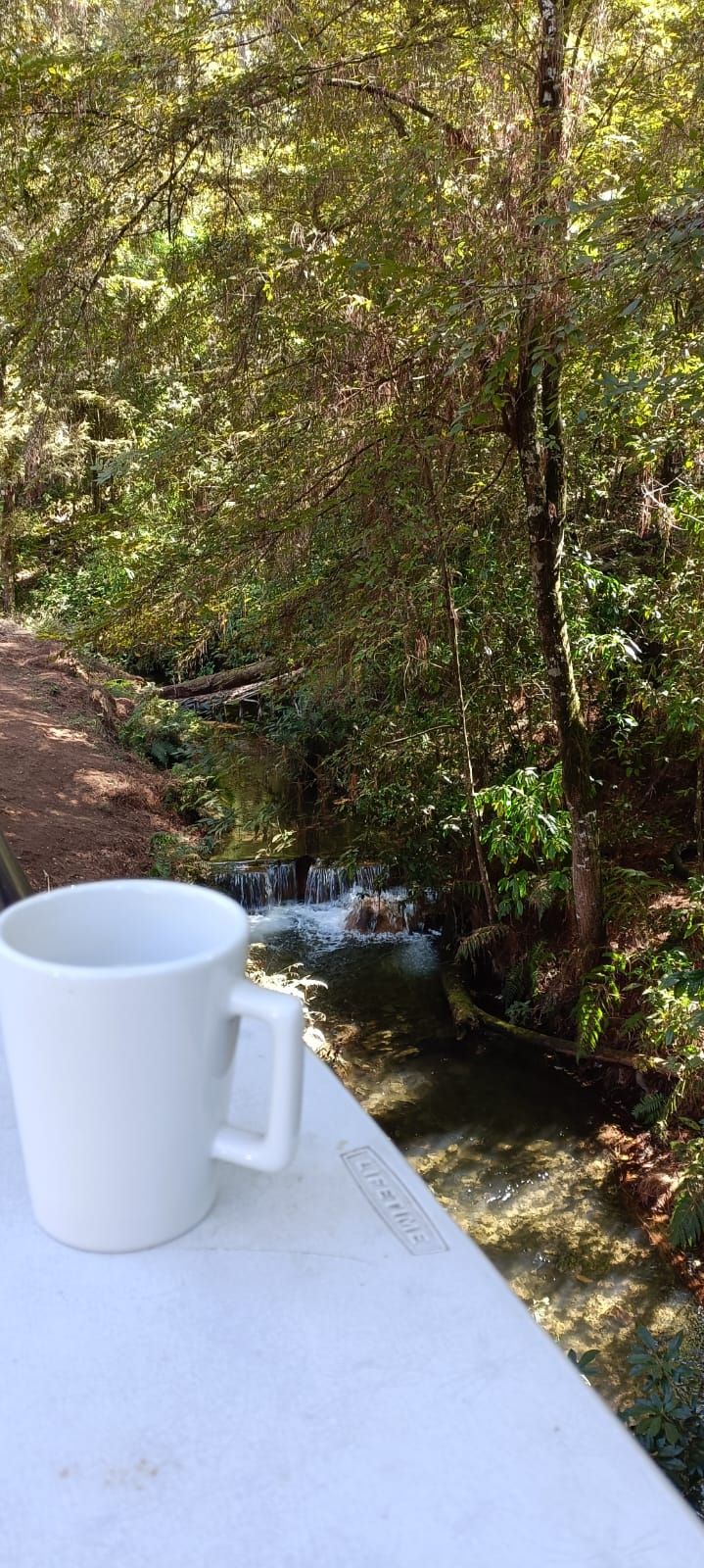 A white mug on a table with a view of a forested area and a small waterfall.