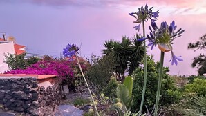 A garden with various plants and flowers, a stone pathway, and a view of a building with a red roof.