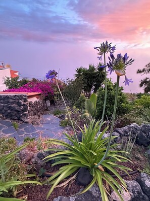 Um jardim com diversas plantas e flores, um caminho de pedra e vista para um edifício com telhado vermelho.