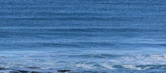 Seabreeze Cottage, by the ocean in Brighton, Otago