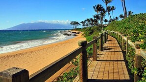 A wooden boardwalk leading to a sandy beach with palm trees and a mountain in the background.
