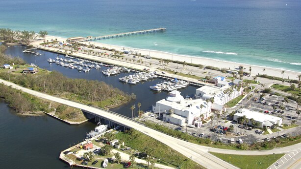 An aerial view of a marina with boats, a pier, and adjacent buildings.