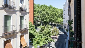 A narrow street with buildings on either side, featuring balconies and a tree-lined median. - vip  LETRAS, by MONARO***** (Madrid)