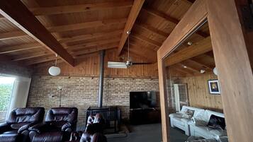 Smart TV, fireplace, books