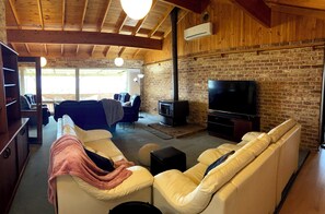 Smart TV, fireplace, books
