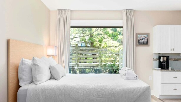 A hotel room with a bed, a window with curtains, a bedside table, a lamp, a coffee maker, and a view of greenery outside.