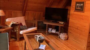 TV, DVD player, books, video library