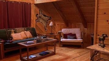 TV, DVD player, books, video library