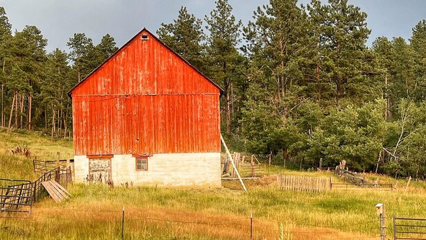 A red barn with a white lower section, surrounded by a grassy field and trees. There are four red Adirondack chairs arranged around a stone fire pit. - Nemo Farmhouse on Centennial Trail With a View (Nemo)