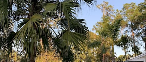 泳池