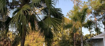 The Mini Melby - Tiny House on the Space Coast near area's most popular beaches