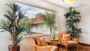A corner room with a large window, two wicker chairs with floral cushions, a small round table, and a tall potted plant. - Rodeway Inn Central Clearwater Beach (Clearwater)