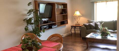 Smart TV, DVD player, books, stereo