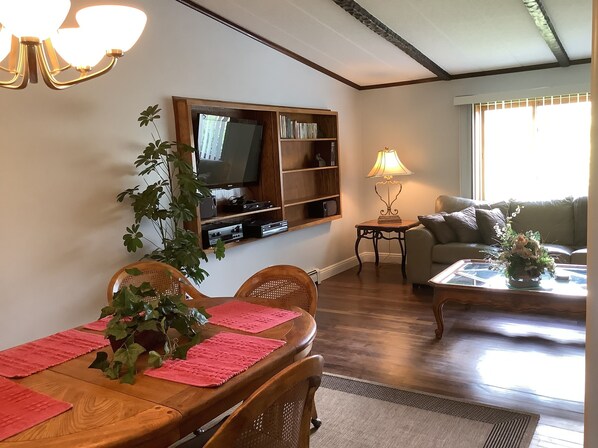 Smart TV, DVD player, books, stereo