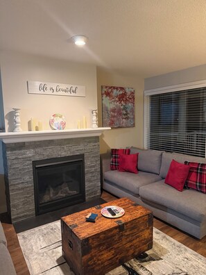 Smart TV, fireplace, books