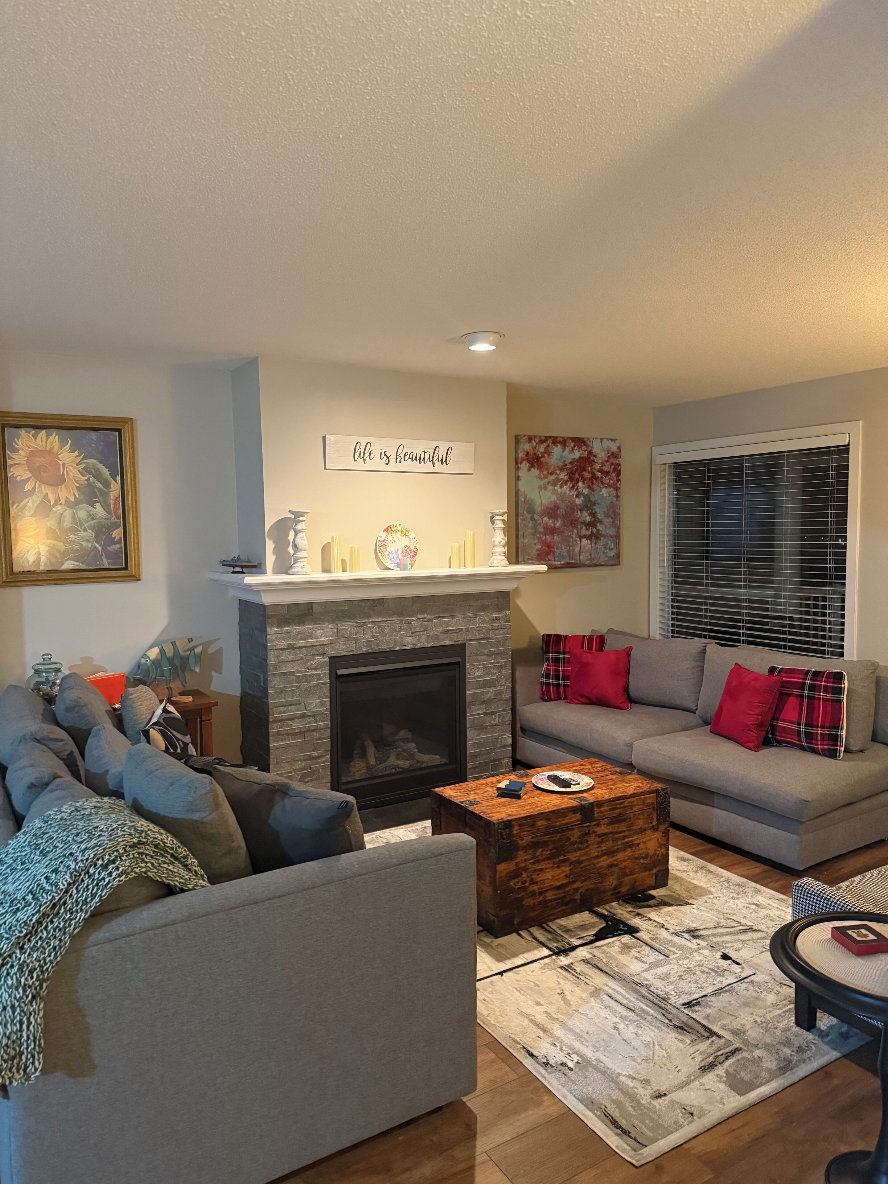 Smart TV, fireplace, books