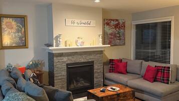 Smart TV, fireplace, books