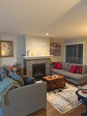 Smart TV, fireplace, books