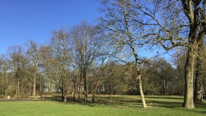 Un parco con un prato erboso, alberi e un cielo azzurro intenso.