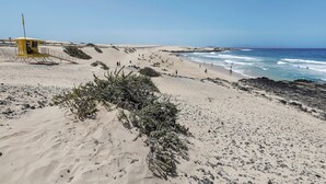 A beach with a lifeguard tower, sandy dunes, and rocky outcrops. - Accommodation "Tucanes" with Terrace and Wi-Fi (Corralejo)