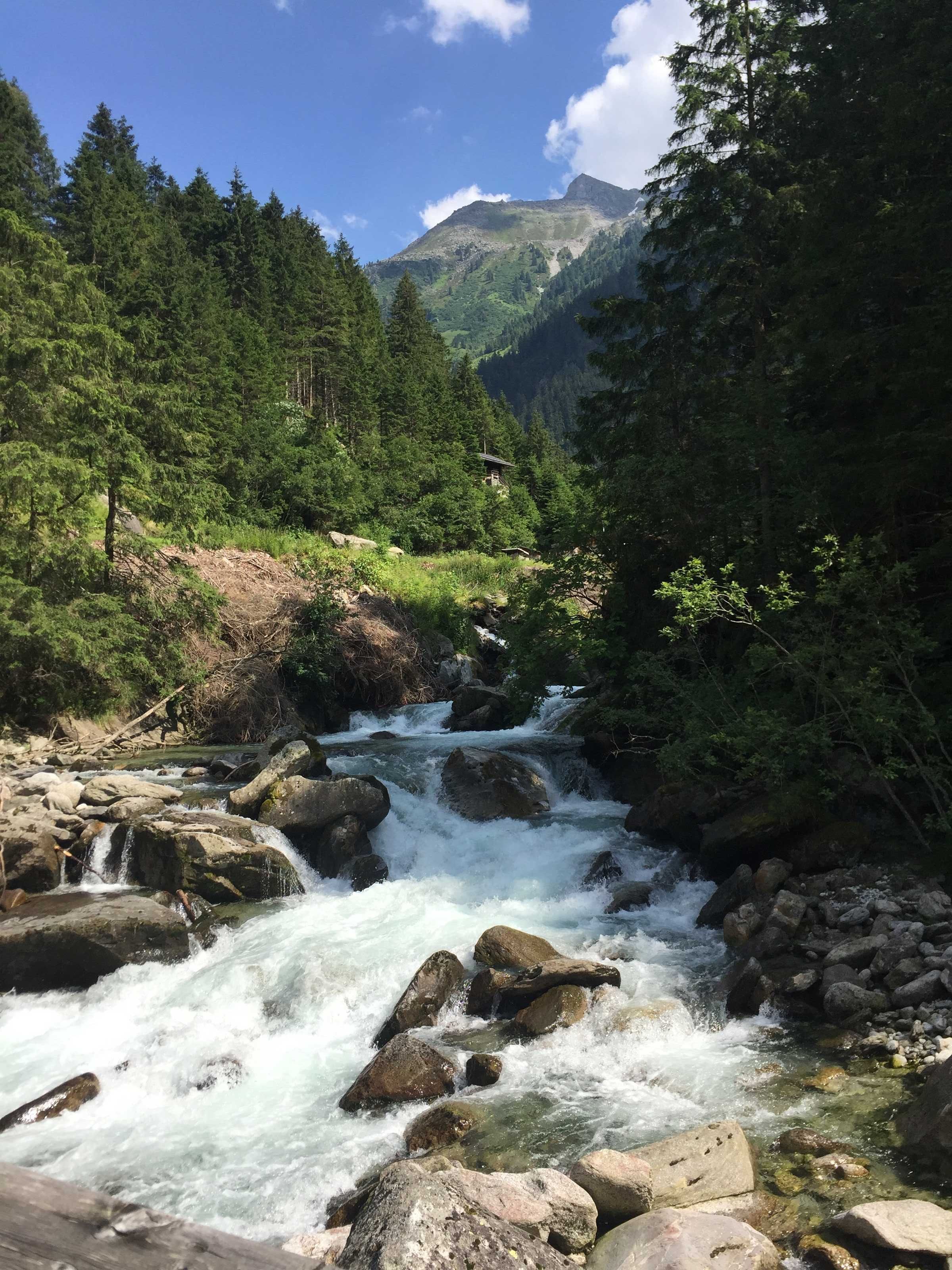 Une rivière qui traverse une zone boisée, avec une montagne en arrière-plan.