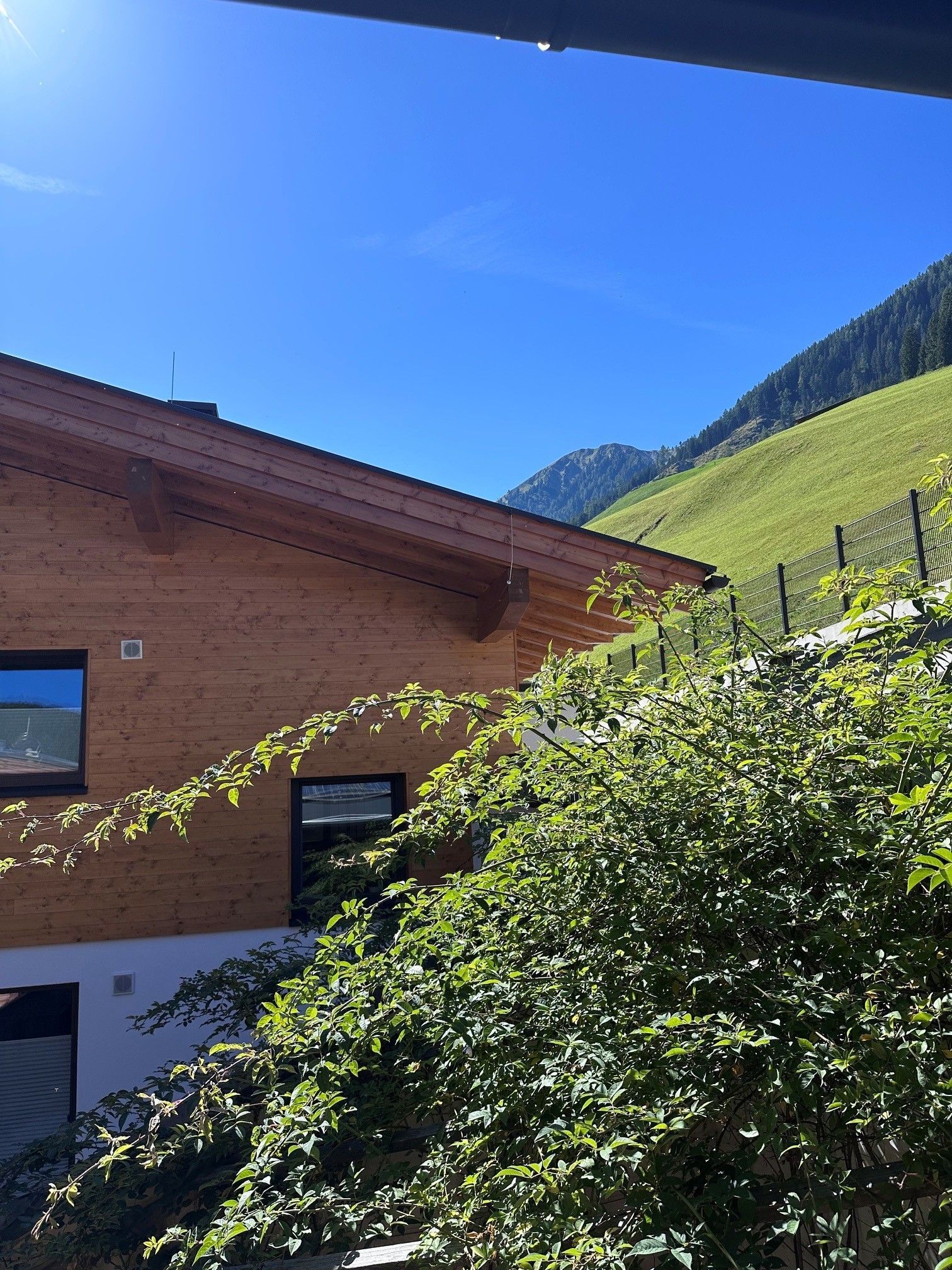A modern building with a sloped roof, surrounded by lush greenery and a mountain backdrop.