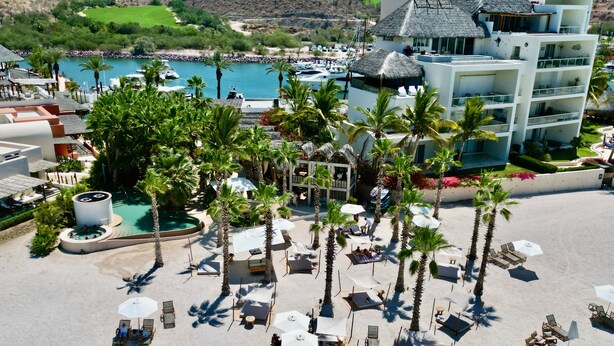 Un complexe hôtelier doté d’une piscine, de palmiers et de chaises de plage.