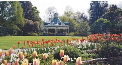 Red Door Tudor in Historic Newport Glen/ Mill Creek Park