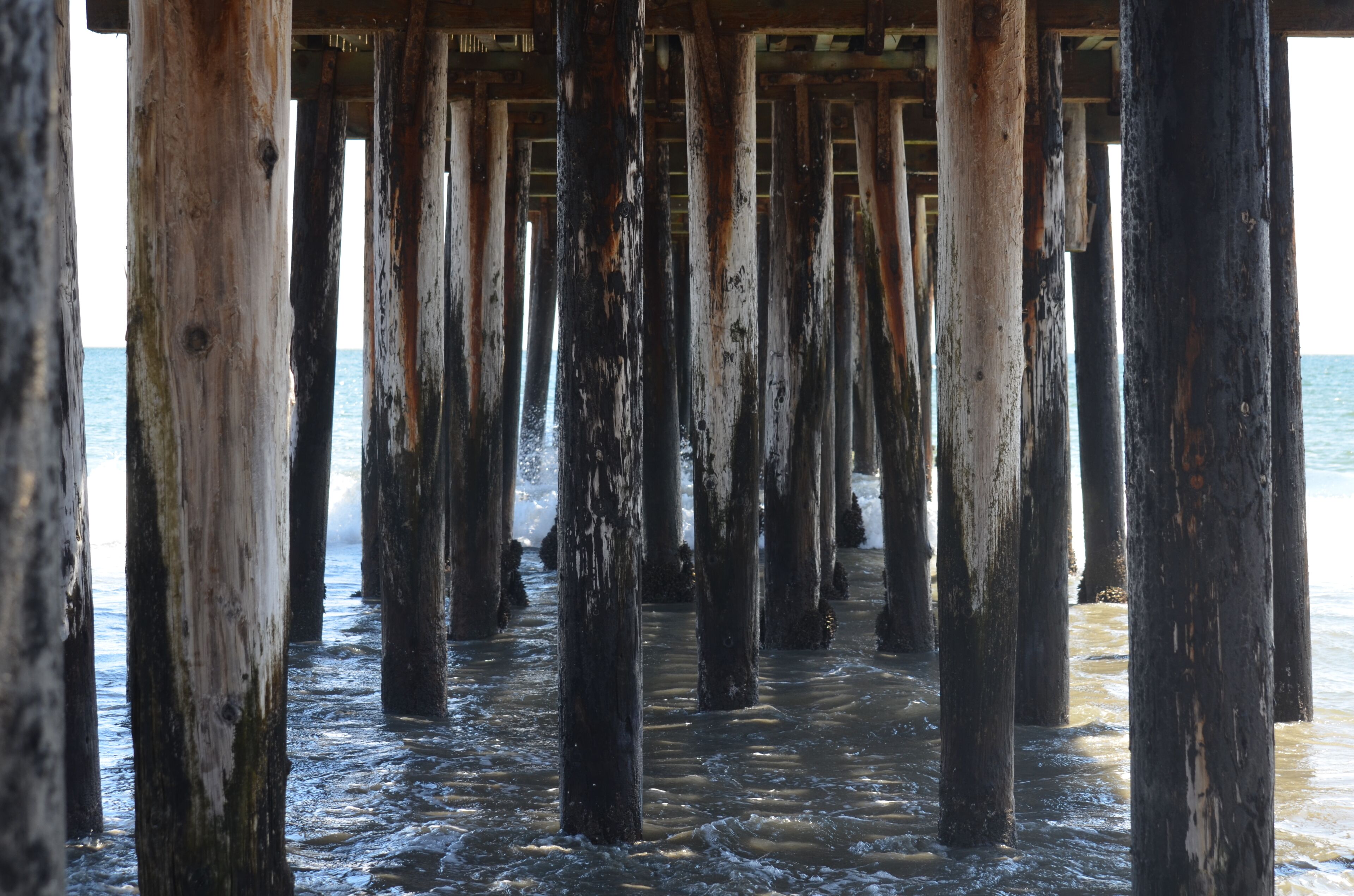 Un muelle con pilares de madera que se adentra en el agua.