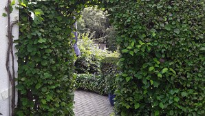 Een tuinpad met een gebogen haagboog dat naar de ingang van een gebouw leidt.